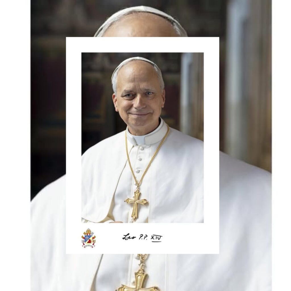 The Official Portrait of Pope Leo XIV